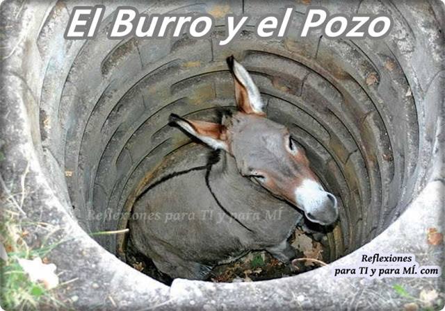 * EL BURRO Y EL POZO (reflexión)